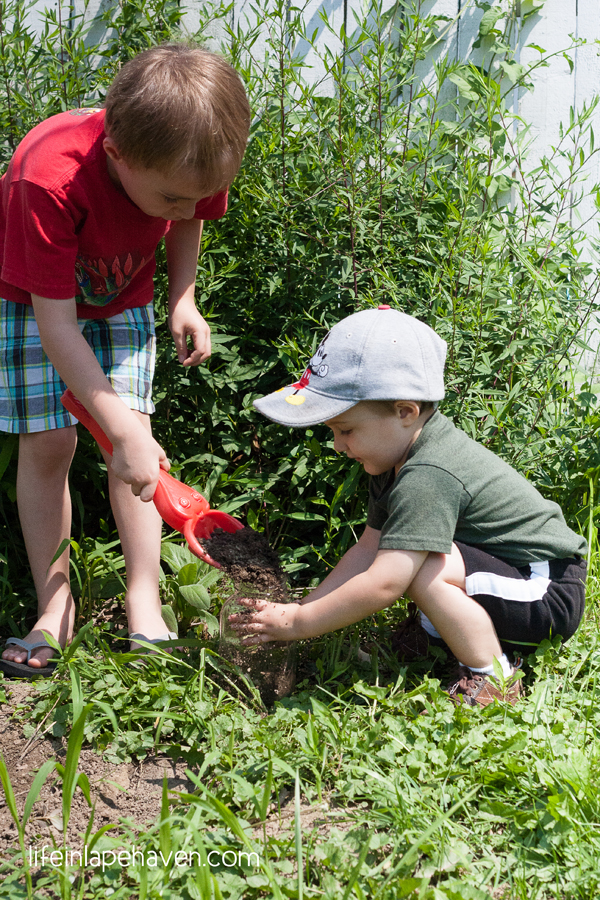 leven in Lape Haven: Roly Poly Pet-Josiah die de pot