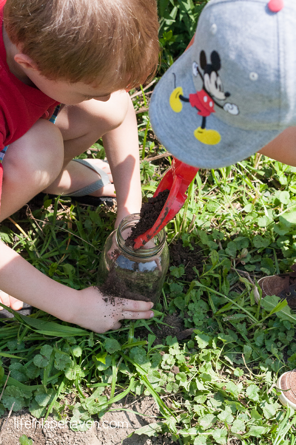  Life in Lape Haven: Roly Poly Pet-Josiah derramando sujeira em jar 