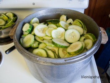 Life in Lape Haven: Making Grandma's Lime Pickles