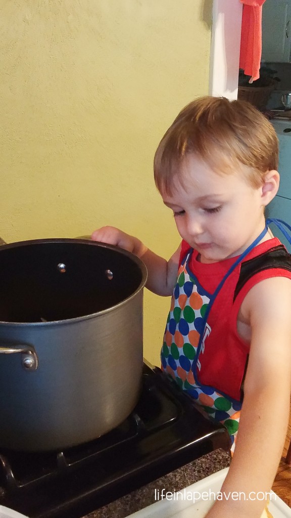 Life in Lape Haven: Giving Him Apple Pieces to Put in the Pan - Making memories in the every day