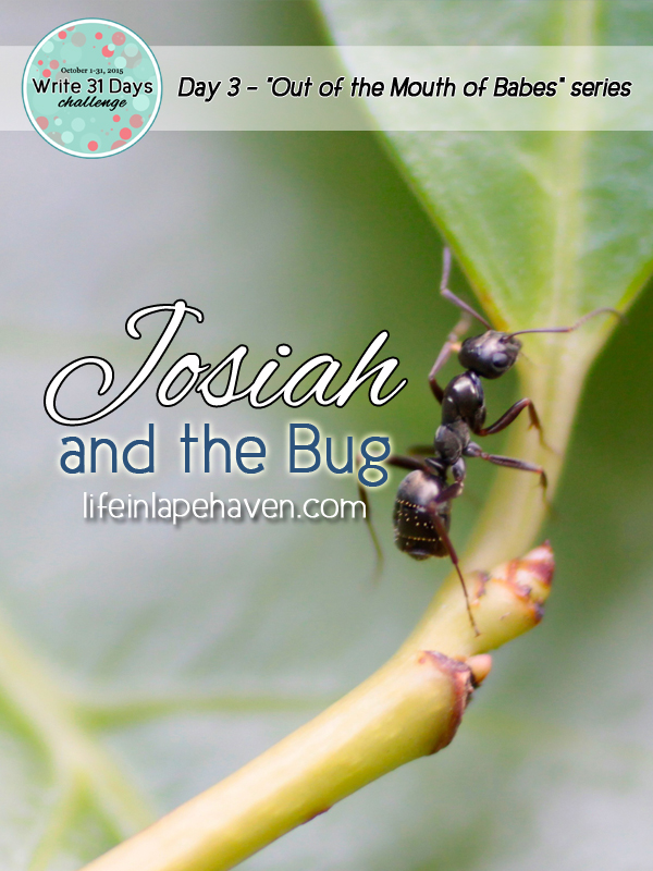 Life in Lape Haven: Write 31 Days - Out of the Mouth of Babes, Josiah and the Bug. How ants and sin are similar.