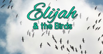 Life in Lape Haven: Write 31 Days - Elijah and the Birds. Expecting God to provide in unusual ways.