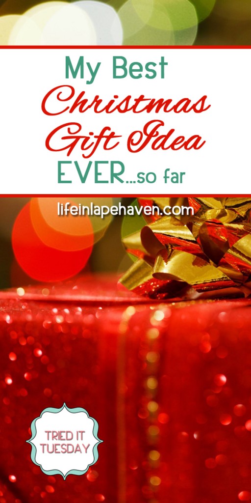 My Best Christmas Gift Idea Ever...so far Life in Lape Haven