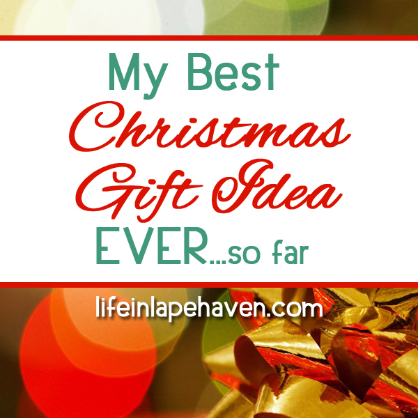 My Best Christmas Gift Idea Ever...so far Life in Lape Haven