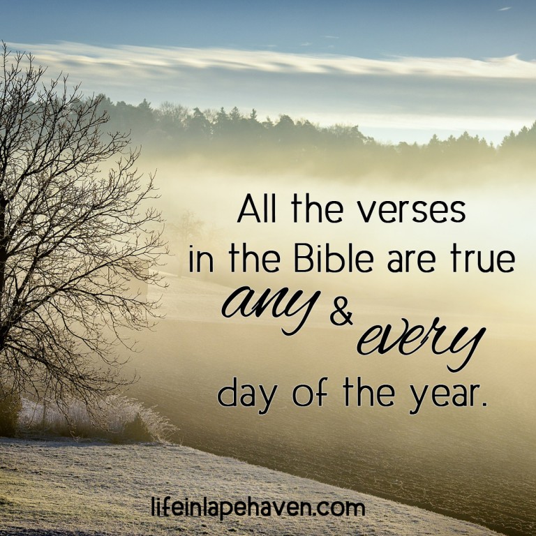 How to Start a Brand New Year Any Day Life in Lape Haven