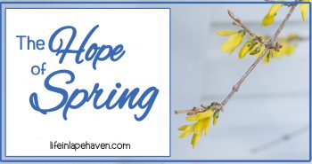 Life in Lape Haven: The Hope of Spring. From azaleas in Georgia to forsythia in Ohio, the arrival of spring is always a time of hope, joy, and new life.