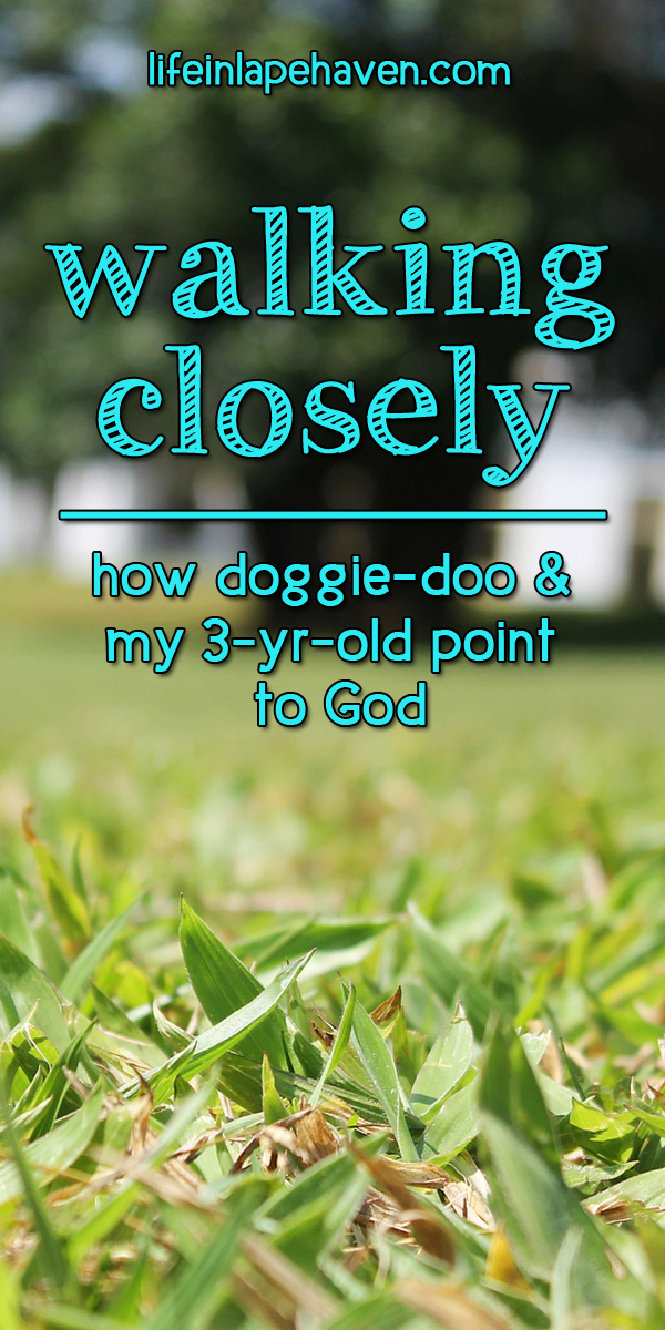 Life in Lape Haven: Walking Closely: How Doggie-Doo & My 3-Yr-Old Point to God. Walking a child through a yard littered with dog leavings is tricky, especially when your child won't stay close.