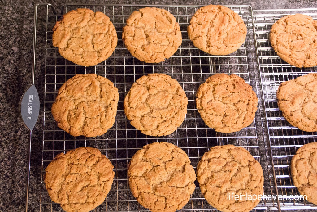 Life In Lape Haven - Tried It Tuesday: Easy, Chewy Peanut Butter Cookies. A simple and simply delicious peanut butter cookie recipe for crunchy, yet chewy cookies.