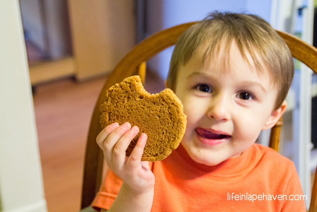 Life In Lape Haven - Tried It Tuesday: Easy, Chewy Peanut Butter Cookies. A simple and simply delicious peanut butter cookie recipe for crunchy, yet chewy cookies.