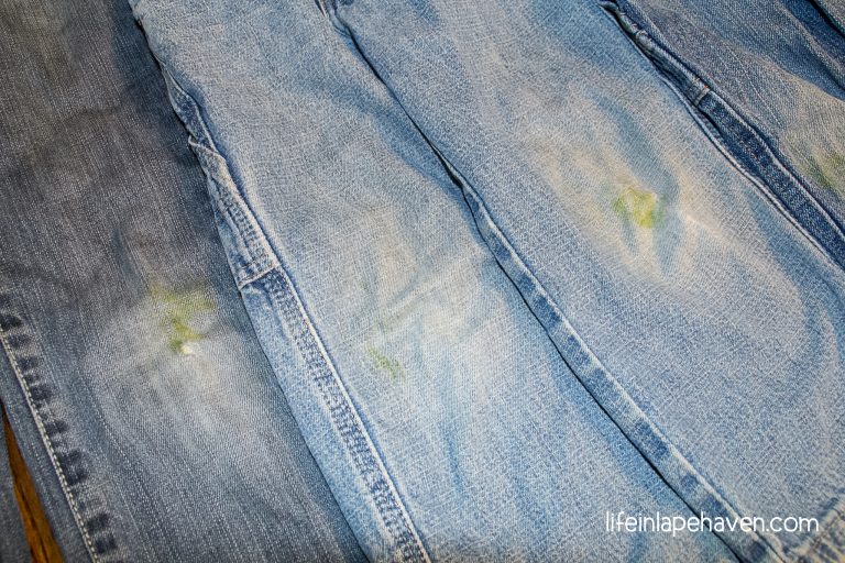 Tried It Tuesday How to Get Grass Stains Out of Clothes