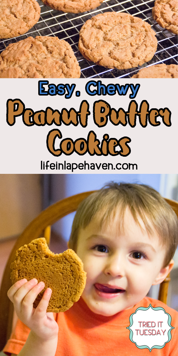 Life In Lape Haven - Tried It Tuesday: Easy, Chewy Peanut Butter Cookies. A simple and simply delicious peanut butter cookie recipe for crunchy, yet chewy cookies.
