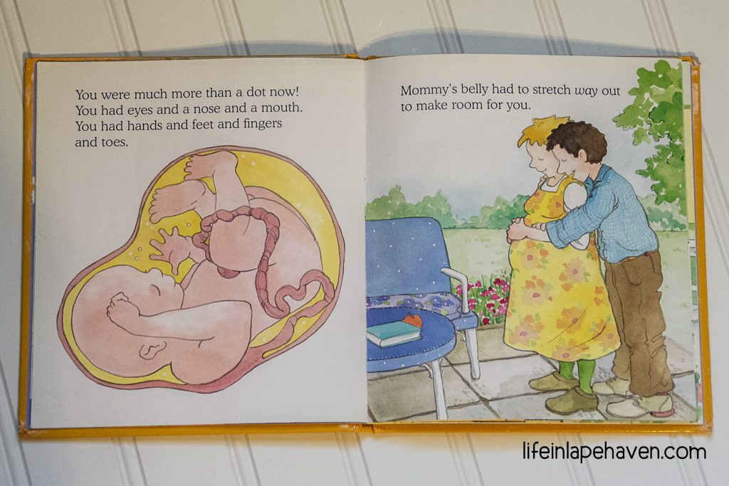 Life in Lape Haven: Our Favorite Children's Book about Pregnancy & Babies. We love this simple, easy to read story about where babies come from. Perfect for young children & preschoolers. Informative without giving too much information.