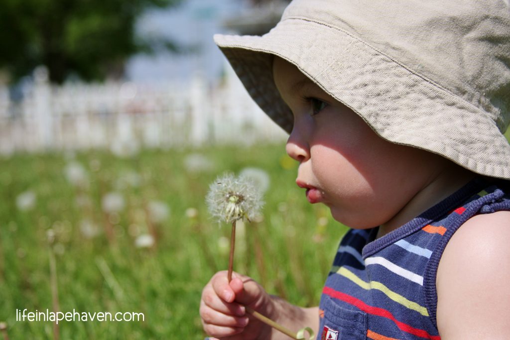 Life in Lape Haven: Simple Ways to Spark Joy in Your Children. It doesn't take much to bring joy to our children's lives. Here are some ideas on simple ways to add some fun to your every day with your kids.