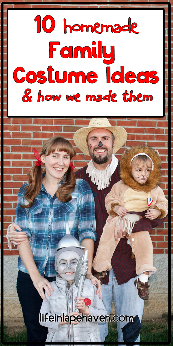 10 Homemade Family Costume Ideas & How We Made Them