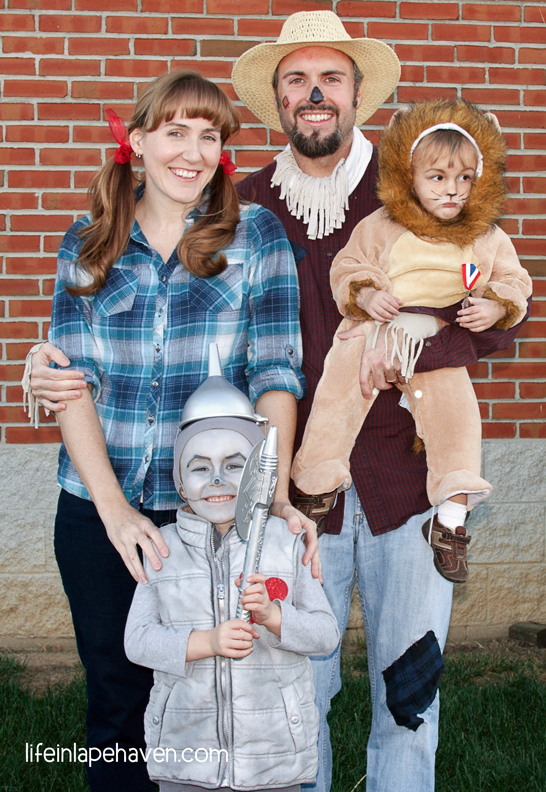 10 Homemade Family Costume Ideas & How We Made Them - Life in Lape Haven. Our family has done theme birthday parties and dress up a lot in the last 5 years. Here are ten fairly easy, inexpensive, and fun family theme costumes for parents and children.